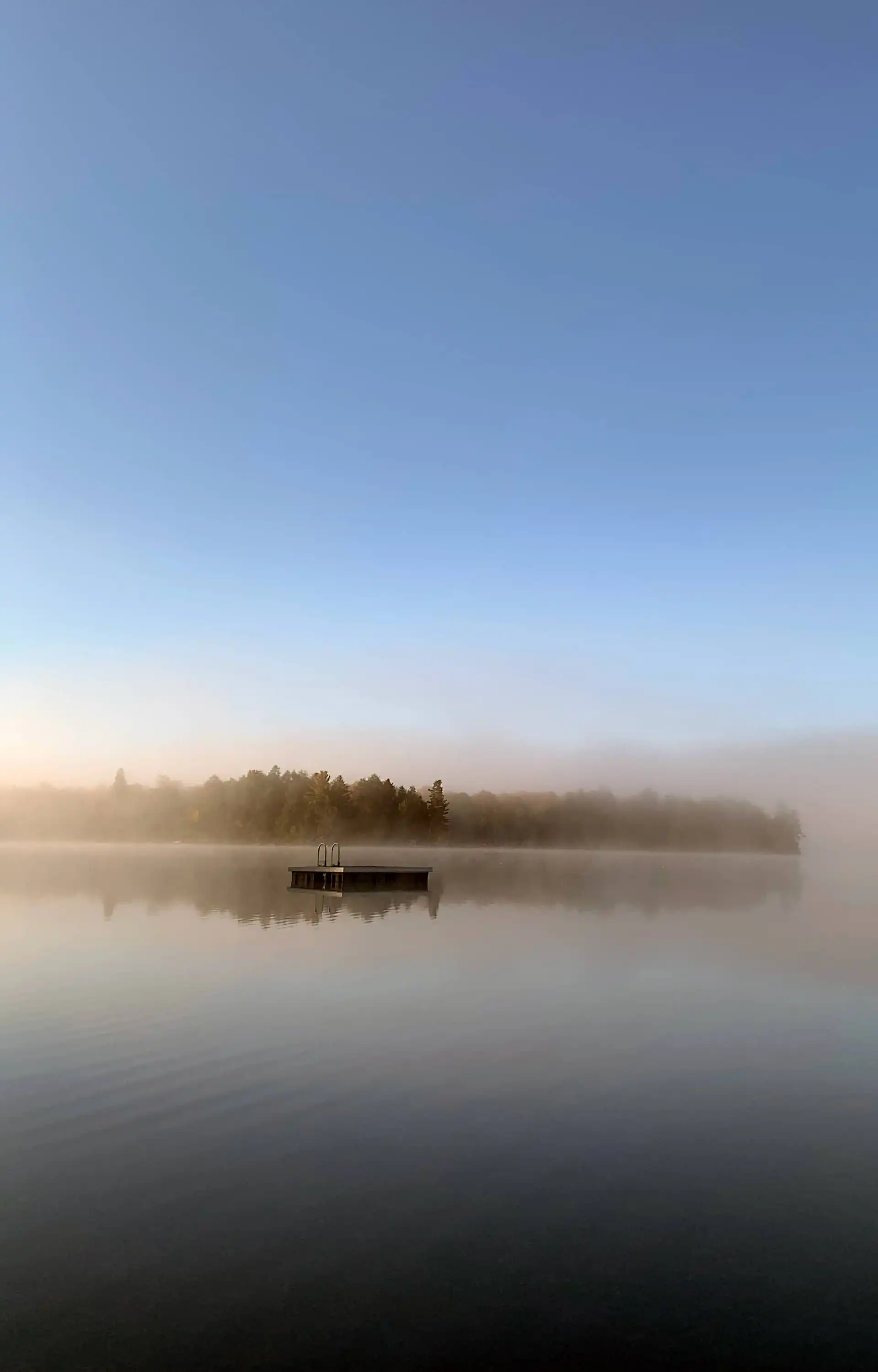 Misty Morning