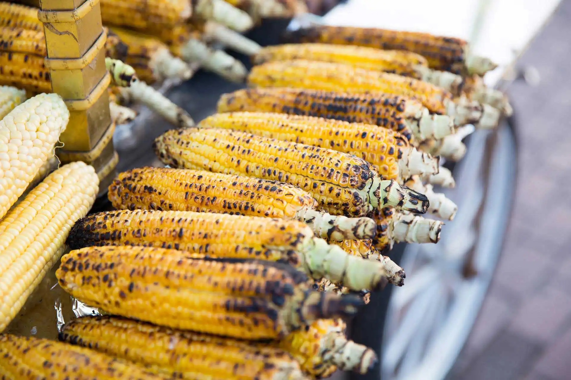 Corn