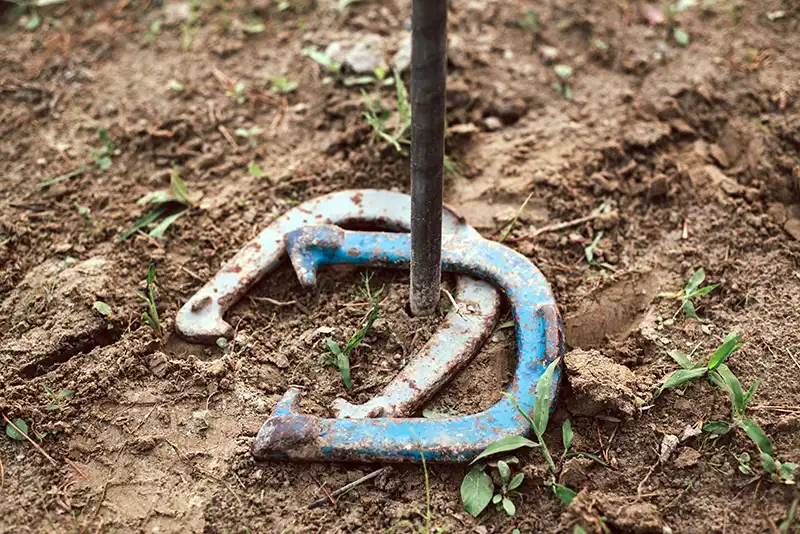 Horseshoes